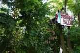 Naturschützer besetzen "Trümmi" in Magdeburg - doch es geht nicht nur um den Wald