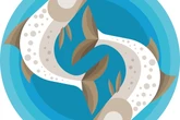 Monatshoroskop Fische: Dein Horoskop für Juli 2026