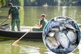 Mysteriöses Fischsterben im Carolasee: Jetzt sollen Tests Klarheit bringen