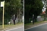 Aggressiver Gassi-Gänger will Häufchen nicht wegmachen und schlägt zu: Wer kennt diesen Mann?