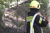 Erste kleine Waldbrände: Hohe Flammengefahr im Norden Sachsens