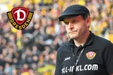Paukenschlag bei Dynamo: SGD schmeißt David Fischer raus!