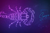 Wochenhoroskop Skorpion: So wird die nächste Woche vom 23.6. bis 29.6.2025
