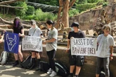 PETA und die Affen-Tötung: Wie aussagekräftig ist die Umfrage zum Nürnberger Zoo wirklich?