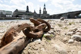 Hitzeblog für Dresden: Was die nächsten Tage auf uns zukommt