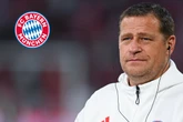 Rekord-Transfer! FC Bayern will Ex-Spieler offenbar für 100 Millionen Euro zurückholen