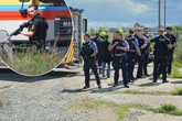 Tigerangriff im Leipziger Westen! Mann verletzt, Tier erschossen