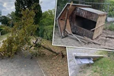 Blinde Zerstörungswut: Vandalen verwüsten Sachsens älteste Kleingartenanlage