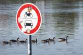 Hochwasser in Dresden: Pegel kommt 5-Meter-Marke nahe