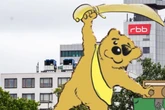 "Ohrenbär" darf nicht sterben: Promis und rbb-Mitarbeiter retten ihm das Leben