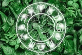 Horoskop heute: Tageshoroskop kostenlos für den 4.7.2026