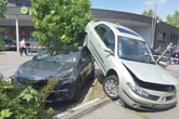 Kurioser Unfall: Seniorin fällt Baum mit ihrem Auto