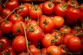 Die Tomaten aus dem Kühlschrank schmecken nicht? So kannst Du Tomaten lagern