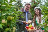Süß und knackig! Sachsens Äpfel sind reif für die Ernte