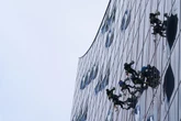 Nackt auf dem Bett: Fensterputzer an der Elbphilharmonie erwischt Paar in flagranti