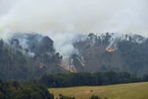 Extreme Trockenheit in Sachsen: Warnung vor hoher Waldbrandgefahr