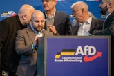 Nach Chaos-Parteitag der AfD: Fall landet vor Stuttgarter Landgericht