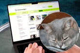 Katzen-Deal geht schief: Was dieses Pfötchen mitmachen musste, ist kaum zu glauben