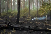 Aufatmen im Müritz-Nationalpark: Waldbrand gelöscht, aber Einsatz geht weiter
