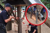 Wie ein Abenteuer-Spielplatz beinahe zur Todesfalle werden konnte