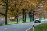 Warum der Herbst besonders gefährlich für Autofahrer ist - und was man tun kann