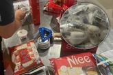 Kölner Zoll macht ekligen Fund: Tausende Vogelspinnen im Keks-Paket