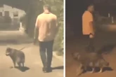 Vor zwei Frauen entblößt: Kripo sucht diesen Exhibitionisten mit Hund