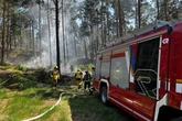 Waldbrand im Harz: Polizei findet Spuren auf Brandstiftung