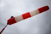 Windiger Start ins Wochenende: Böen und Schauer ziehen über Berlin und Brandenburg