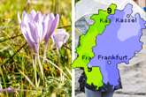 Am Freitag Schauer: So wird das Wochenend-Wetter in Frankfurt und Hessen