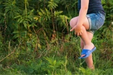 Viele Stiche und höllischer Juckreiz: Diese Quälgeister sind schuld!