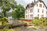 Unwetter in Chemnitz: Sturm entwurzelt Bäume
