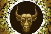 Wochenhoroskop Stier: So wird die nächste Woche vom 20.10. bis 26.10.2025