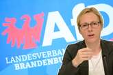 Neue AfD-Recherche von Correctiv: Abgeordnete trafen sich mit Neonazis