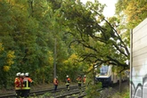 Wichtige Bahnstrecke gesperrt! Zug rast gegen brennenden Ast