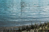 Dramatische Szenen an Badesee: Mann von Ersthelfern aus Wasser gezogen und vor Ort reanimiert