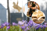 Endlich Frühling in Dresden und Umgebung: Mit diesen Tipps versüßen wir Euch den Samstag