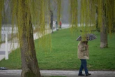 Sturm zieht über Köln: DWD warnt vor ungemütlichem Wochenende