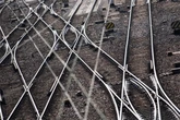 Tierischer Ausreißer sorgt für Bahnstörungen und Ausfälle