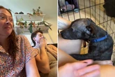 Frauen nehmen Hund zur Pflege auf: Was kurz darauf passiert, haben sie nicht erwartet