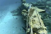 Gold und chinesisches Porzellan: Forscher finden "reichstes Schiffswrack der Welt"