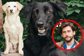 Sänger Alvaro Soler schwelgt in Erinnerungen: "Hund Taro war wie ein Bruder für mich"
