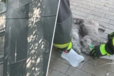 Kätzchen hängen nach Wohnungsbrand am Schlauch