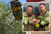 Feuerwehr rettet Tier aus 15 Meter Höhe: Diesmal ist es keine Katze