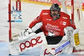 Nach Transfer-Coup der Eislöwen: Kommt jetzt auch Haie-Goalie Hudacek nach Dresden?