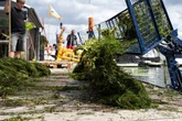 Grün und schnell wachsend: Wasserpest breitet sich in Hessen und Rheinland-Pfalz aus