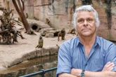 Paviane wurden an Geier und Löwen verfüttert! Tierpark-Chef: Töten bleibt notwendig