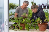 Vor 30 Jahren angelegt: Botanischer Blindengarten ist eine grüne Oase für alle Sinne