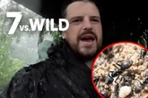 Seltsamer Plan bei "7 vs. Wild": Teilnehmer reiben sich mit Ameisen ein