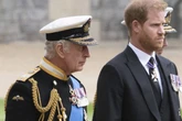 König Charles reist nach Nordamerika: Gibt es Hoffnung auf Versöhnung mit Prinz Harry?